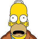 Mr Homer Simpson